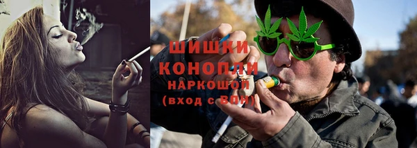 молекула духа Мегион