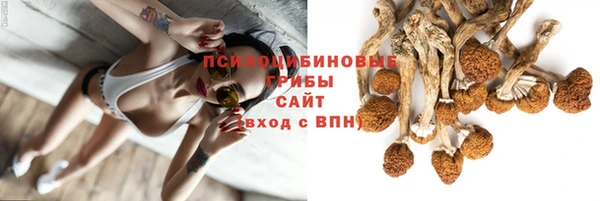 трава Медногорск