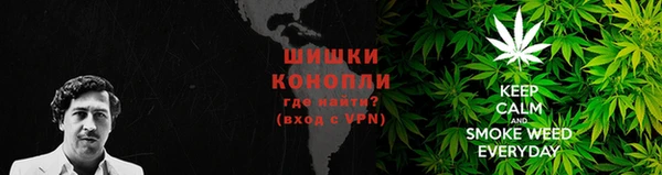молекула духа Мегион