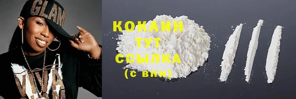 молекула духа Мегион