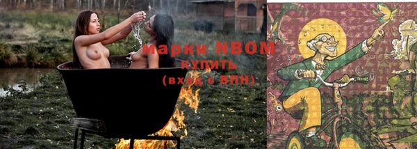 молекула духа Мегион