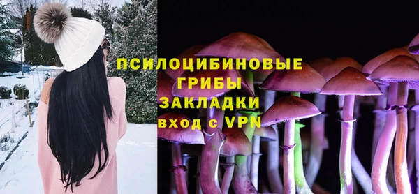 молекула духа Мегион